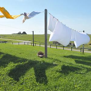 8mm Nylonmagnet-Fischen-Seil 65 Fuß Sicherheits-Seil-mit Carabiner 9